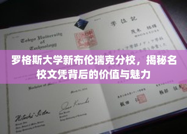 罗格斯大学新布伦瑞克分校，揭秘名校文凭背后的价值与魅力
