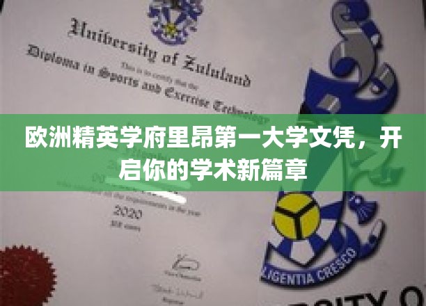 跨越欧陆，成就非凡——里昂第一大学文凭，成就你的学术梦想