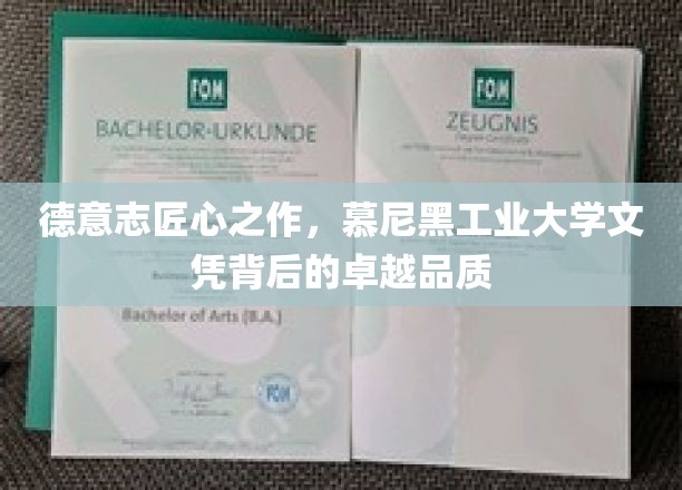 慕尼黑工大文凭，德国精工品质的匠心传承