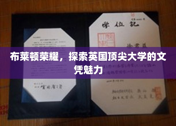 领略布莱顿荣耀，英国顶尖大学文凭的独特魅力