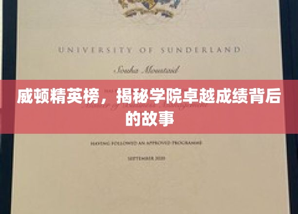 威顿精英榜，揭秘学院卓越成绩背后的故事