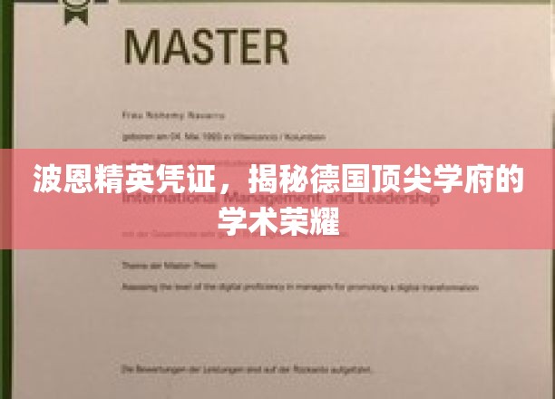 探寻波恩精英凭证，德国顶尖学府学术辉煌背后的秘密通行证