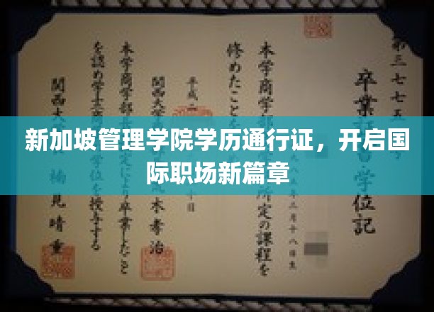 新加坡管理学院学历通行证，开启国际职场新篇章