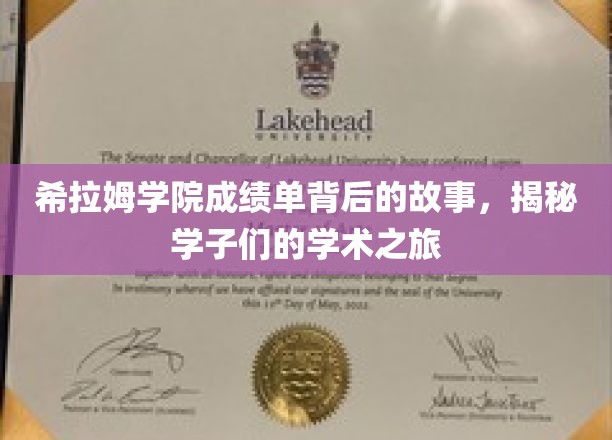 解码希拉姆学院成绩单，学子们的学术征途与成长足迹