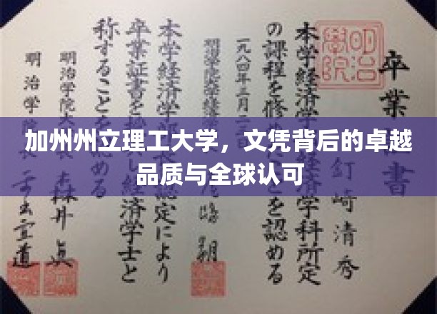 加州州立理工大学，文凭背后的卓越品质与全球认可
