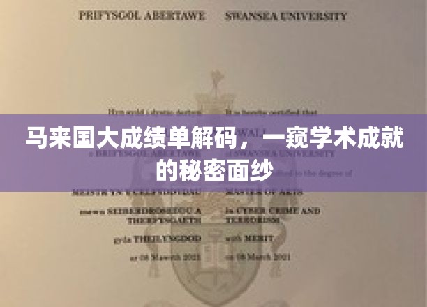 马来国大成绩单解码，一窥学术成就的秘密面纱