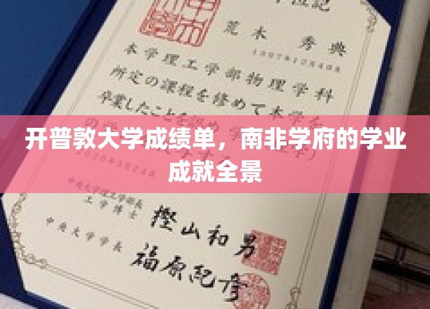 开普敦大学成绩单，南非学府的学业成就全景