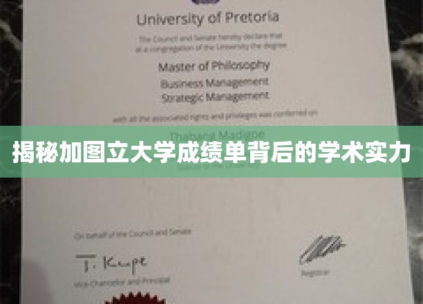 解码加图立大学成绩单，探寻学术实力与卓越成就的秘密