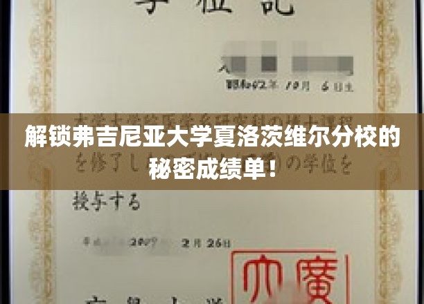 揭开弗吉尼亚大学夏洛茨维尔分校不为人知的学术成就面纱