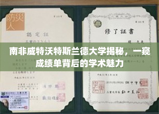 南非威特沃特斯兰德大学揭秘，一窥成绩单背后的学术魅力