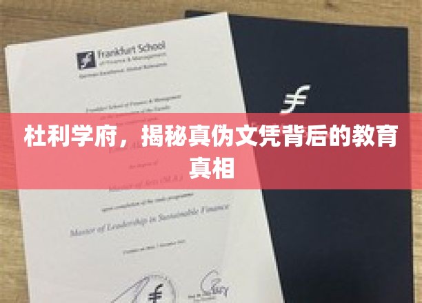 文凭迷雾，杜利学府揭秘学历认证的隐秘世界