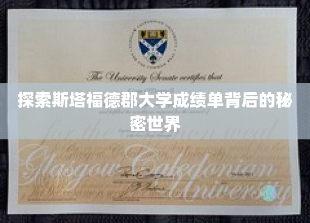 探索斯塔福德郡大学成绩单背后的秘密世界