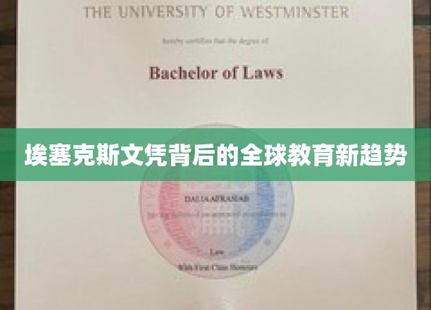 文凭新篇章，埃塞克斯引领全球教育革新潮流