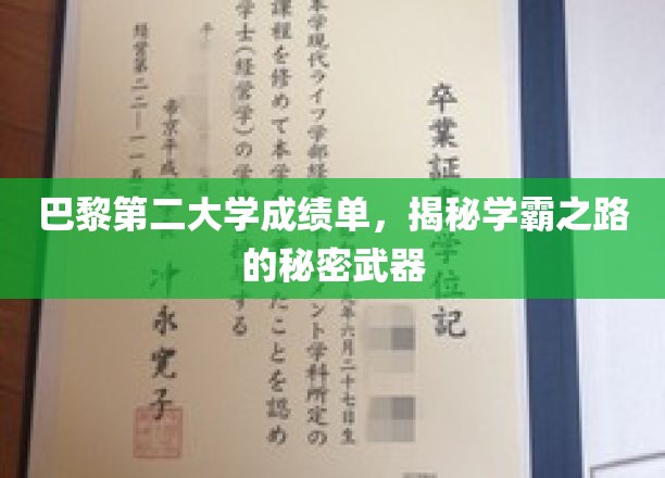 学霸养成记，巴黎第二大学成绩单曝光，揭秘高分背后的神秘策略