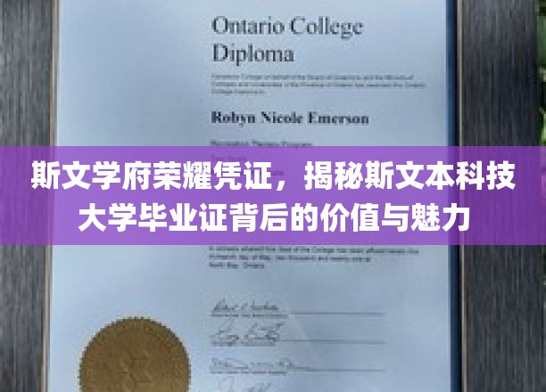 斯文本科大学毕业证，解锁荣耀背后的学术价值与非凡风采
