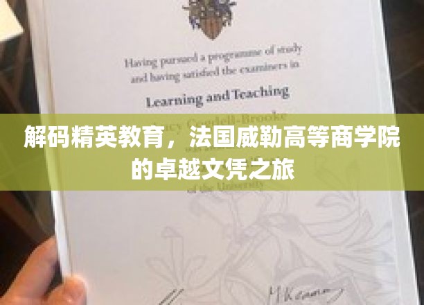 探索精英摇篮，法国威勒高等商学院非凡文凭的神秘之旅