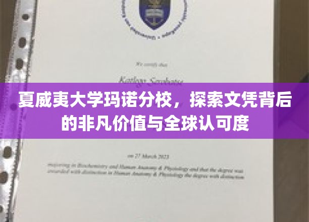 夏威夷大学玛诺分校，探索文凭背后的非凡价值与全球认可度