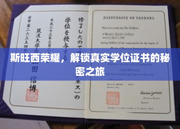 斯旺西荣耀，解锁真实学位证书的秘密之旅