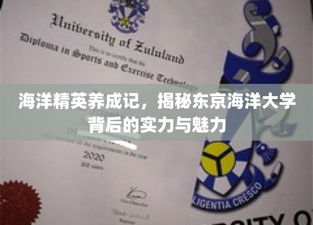 探寻东京海洋大学，培养海洋精英的秘密花园