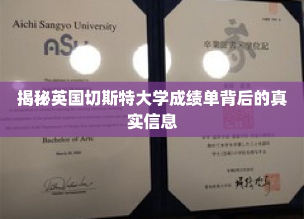 揭秘英国切斯特大学成绩单背后的真实信息