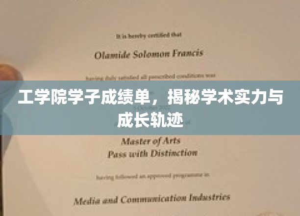 工学院学子成绩单，揭秘学术实力与成长轨迹