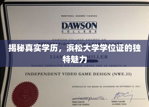 揭秘真实学历，浜松大学学位证的独特魅力