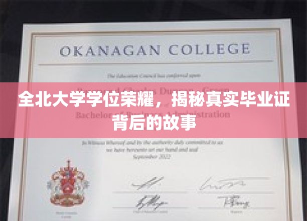 揭开全北大学荣耀学位的神秘面纱，毕业证背后的传奇故事