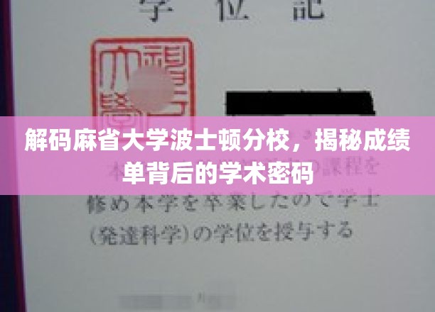 探秘麻省大学波士顿分校，揭秘成绩单的学术奥秘