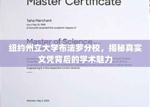 纽约州立大学布法罗分校，揭秘真实文凭背后的学术魅力