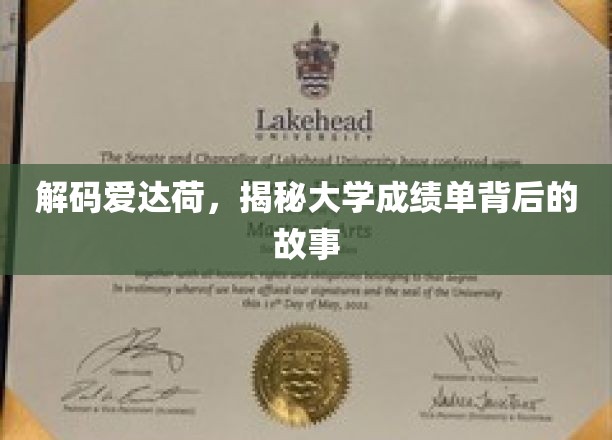 解码爱达荷，揭秘大学成绩单背后的故事