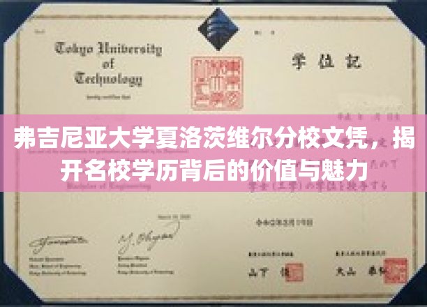 名校光环下的真实价值，弗吉尼亚大学文凭背后的魅力解析