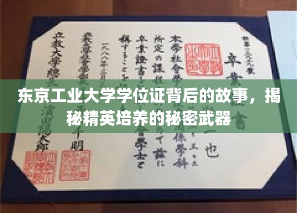 东京工业大学学位证，揭开培养未来精英的神秘面纱