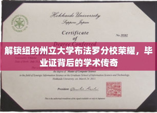解锁纽约州立大学布法罗分校荣耀，毕业证背后的学术传奇