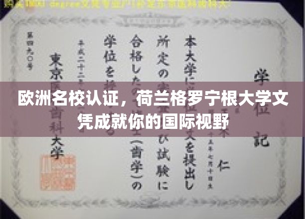 跨国教育之选，格罗宁根大学文凭，开启你的全球视野之旅