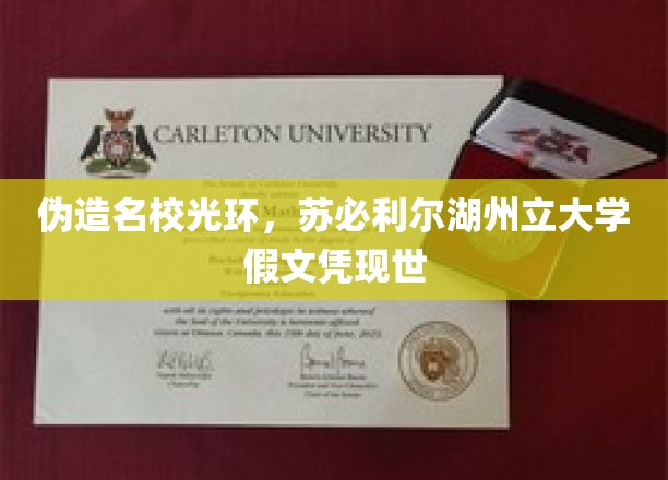 湖州市立大学假文凭风波，揭秘隐藏的学历伪造黑幕