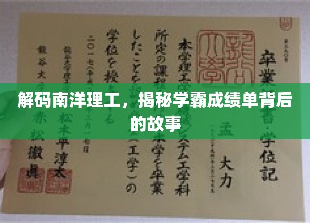 南洋理工学霸风云录，揭开高分背后的奋斗篇章