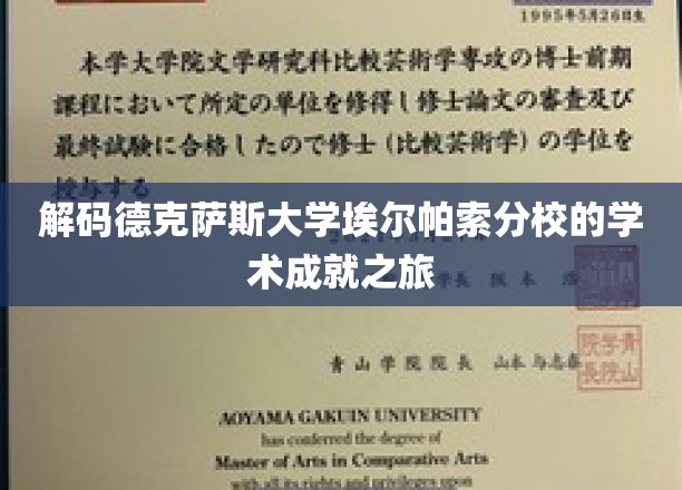 解码德克萨斯大学埃尔帕索分校的学术成就之旅