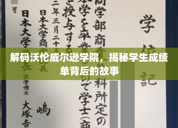 揭开沃伦威尔逊学院成绩单的神秘面纱