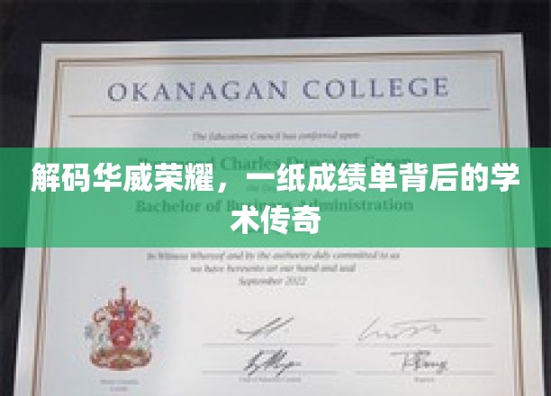 解码华威荣耀，一纸成绩单背后的学术传奇