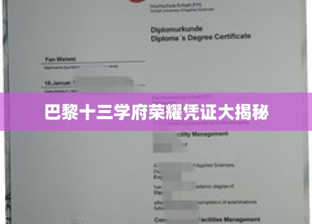 巴黎十三学府荣耀凭证大揭秘