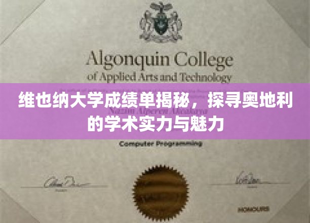 揭开维也纳大学成绩单的面纱，探寻奥地利学术风采的秘密
