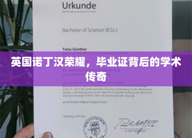 诺丁汉荣耀揭晓，毕业证背后的学术传奇之旅