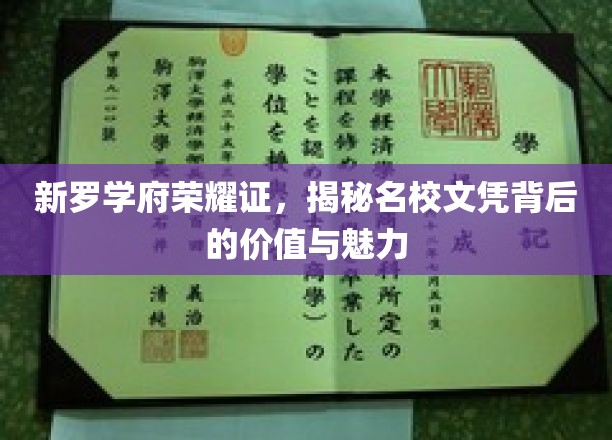 新罗学府荣耀证，揭秘名校文凭背后的价值与魅力