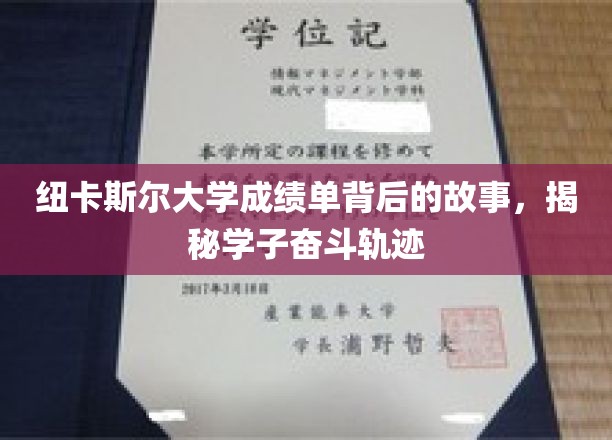 探寻纽大学子奋斗足迹，揭秘成绩单背后的故事