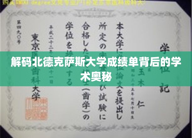 解码北德克萨斯大学成绩单背后的学术奥秘