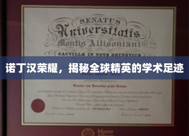 诺丁汉荣耀，揭秘全球精英的学术足迹