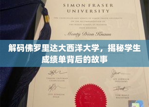 解码佛罗里达大西洋大学，揭秘学生成绩单背后的故事
