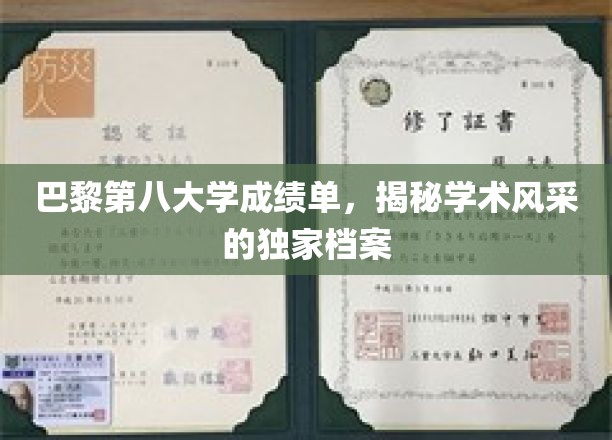 解码巴黎第八大学，成绩单背后的学术风采图鉴