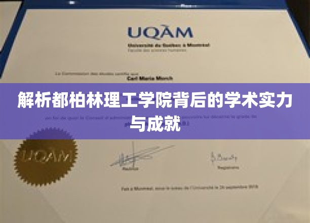 深度解析都柏林理工学院：学术实力与辉煌成就