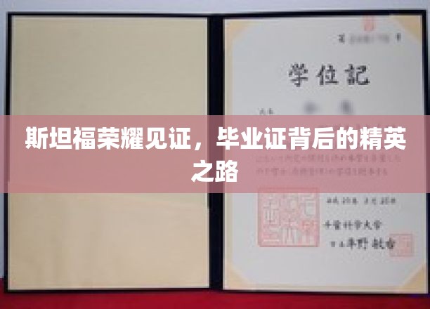 斯坦福之光，揭秘毕业证背后的精英成长轨迹